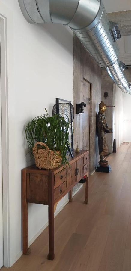 Atico Loft En Frente Al Mar Terraza Vista Espectacular Διαμέρισμα Αλικάντε Εξωτερικό φωτογραφία